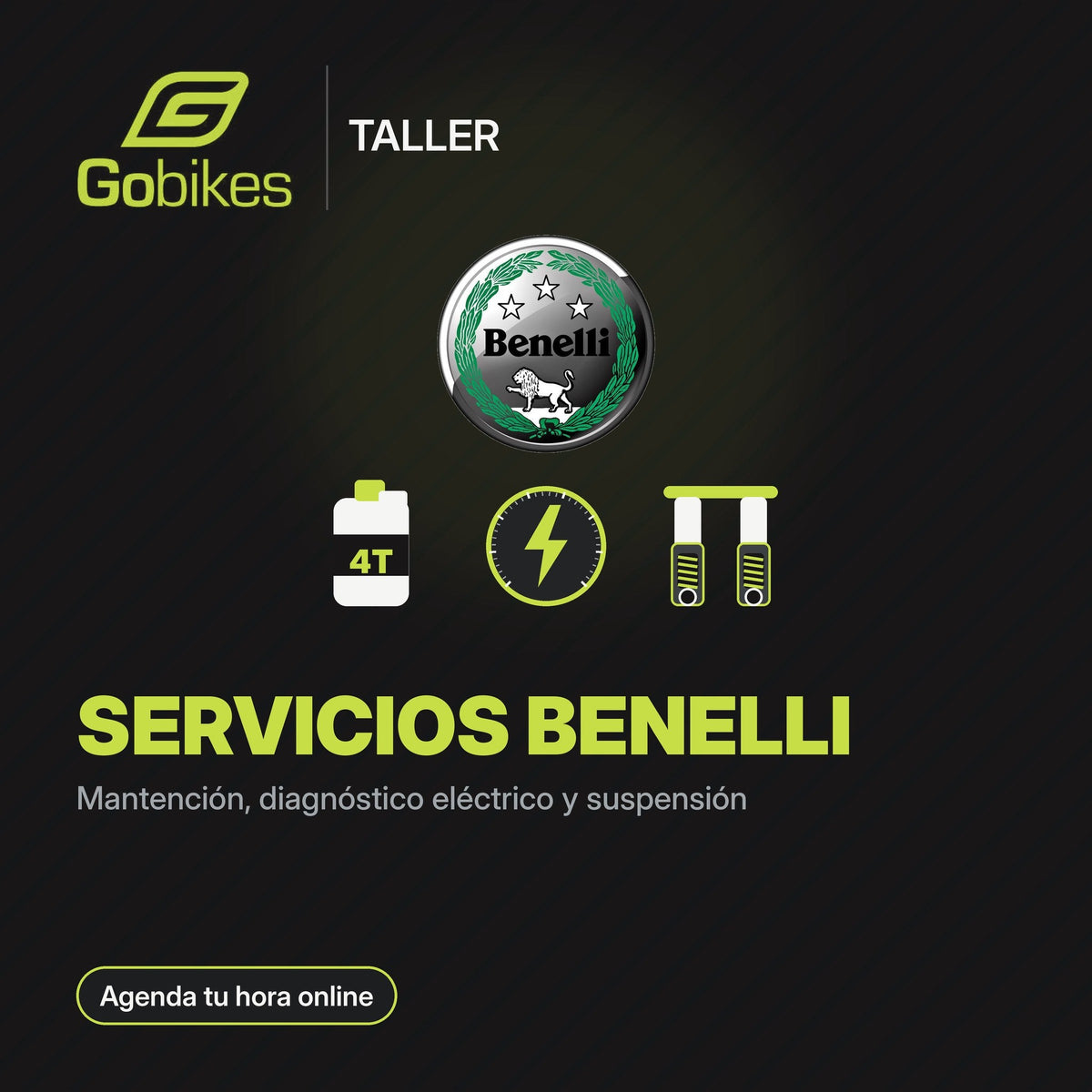 Servicios Benelli