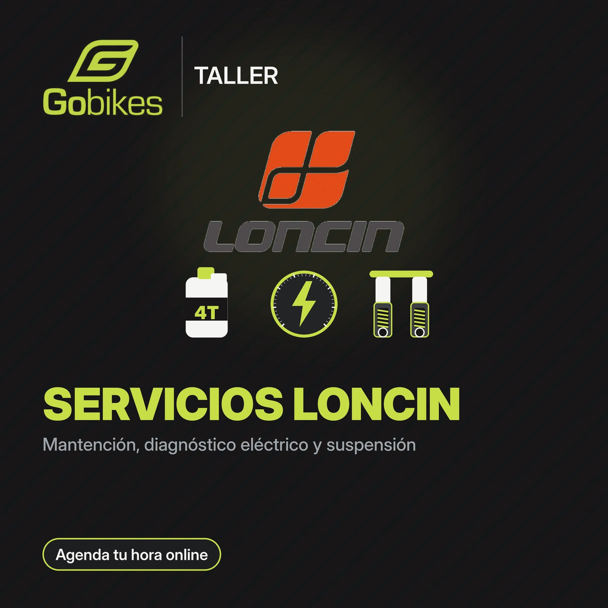 Servicios Loncin