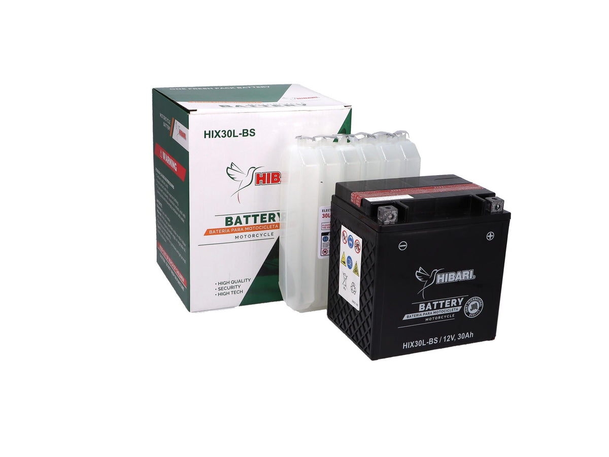 BATERIA  POLARIS/HARLEY TOURING 12V/30AH / UNIVERSAL