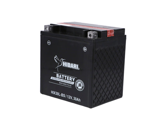 BATERIA  POLARIS/HARLEY TOURING 12V/30AH / UNIVERSAL