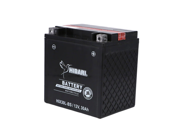 BATERIA  POLARIS/HARLEY TOURING 12V/30AH / UNIVERSAL