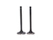 KIT VALVULA ADM/ESC TVS RTR160/180 APACHE / SUZUKI