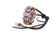 CONJUNTO BOBINAS PULSAR NS150/160 / UNIVERSAL