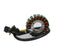 PLATO BOBINAS SUZUKI GN 125H/GS 125 / SUZUKI