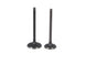 KIT VALVULA ADM/ESC HONDA E-STORM 125 / HONDA