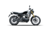Royal Enfield Bear 650 Golden Shadow