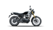 Royal Enfield Bear 650 Golden Shadow
