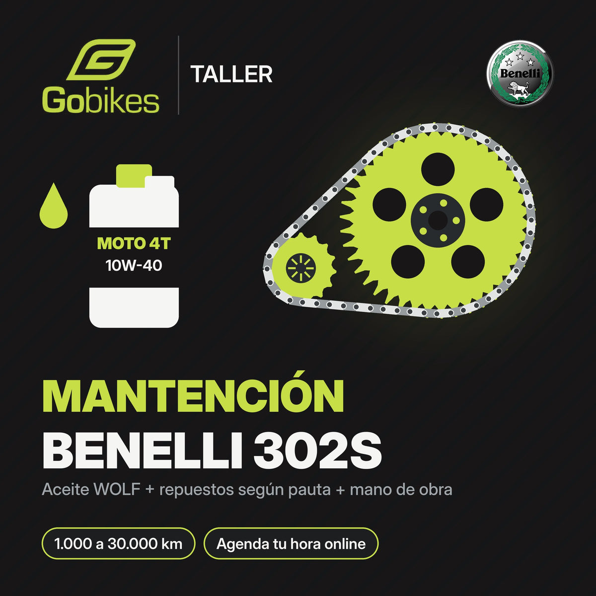 Mantención Benelli 302S