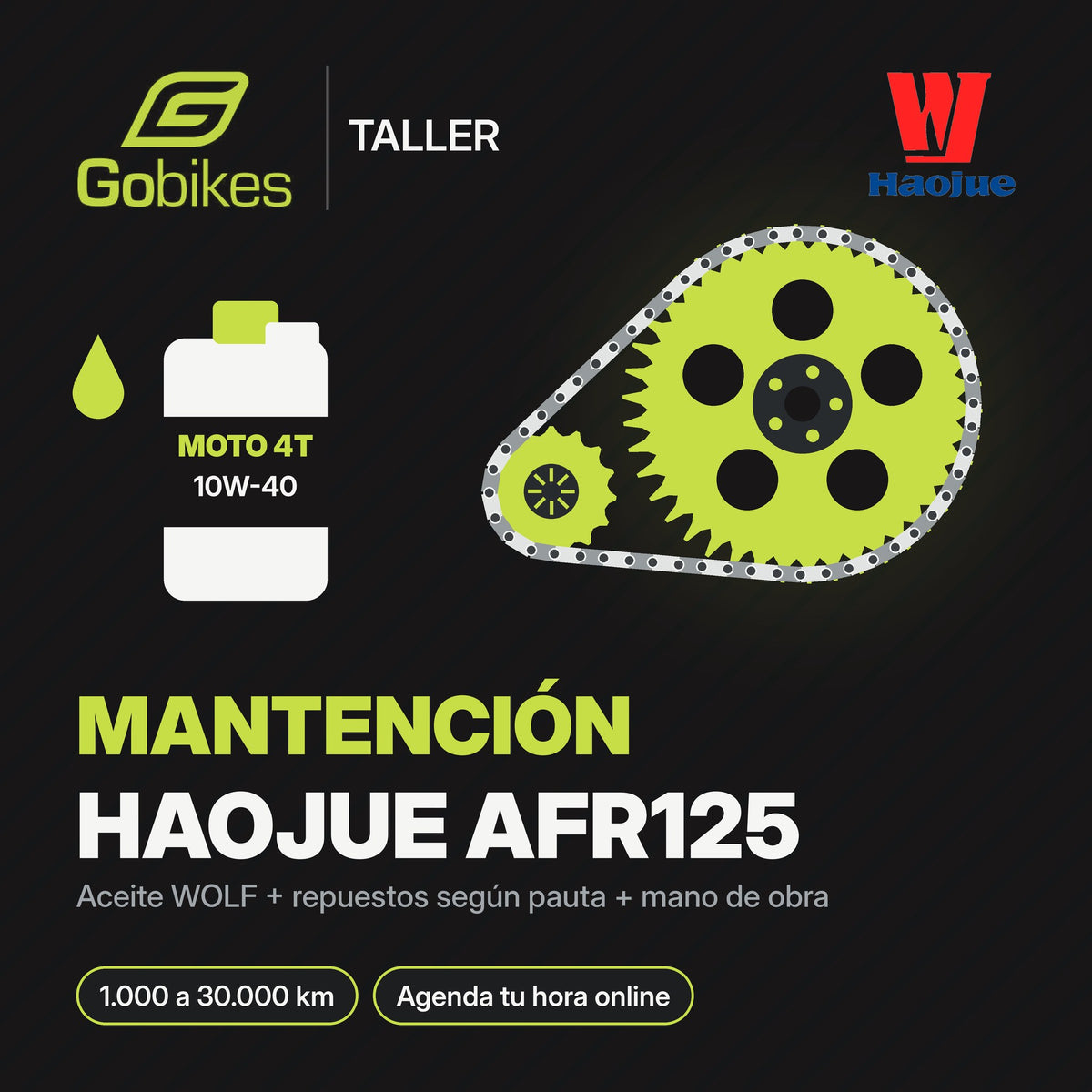 Mantención Haojue AFR125