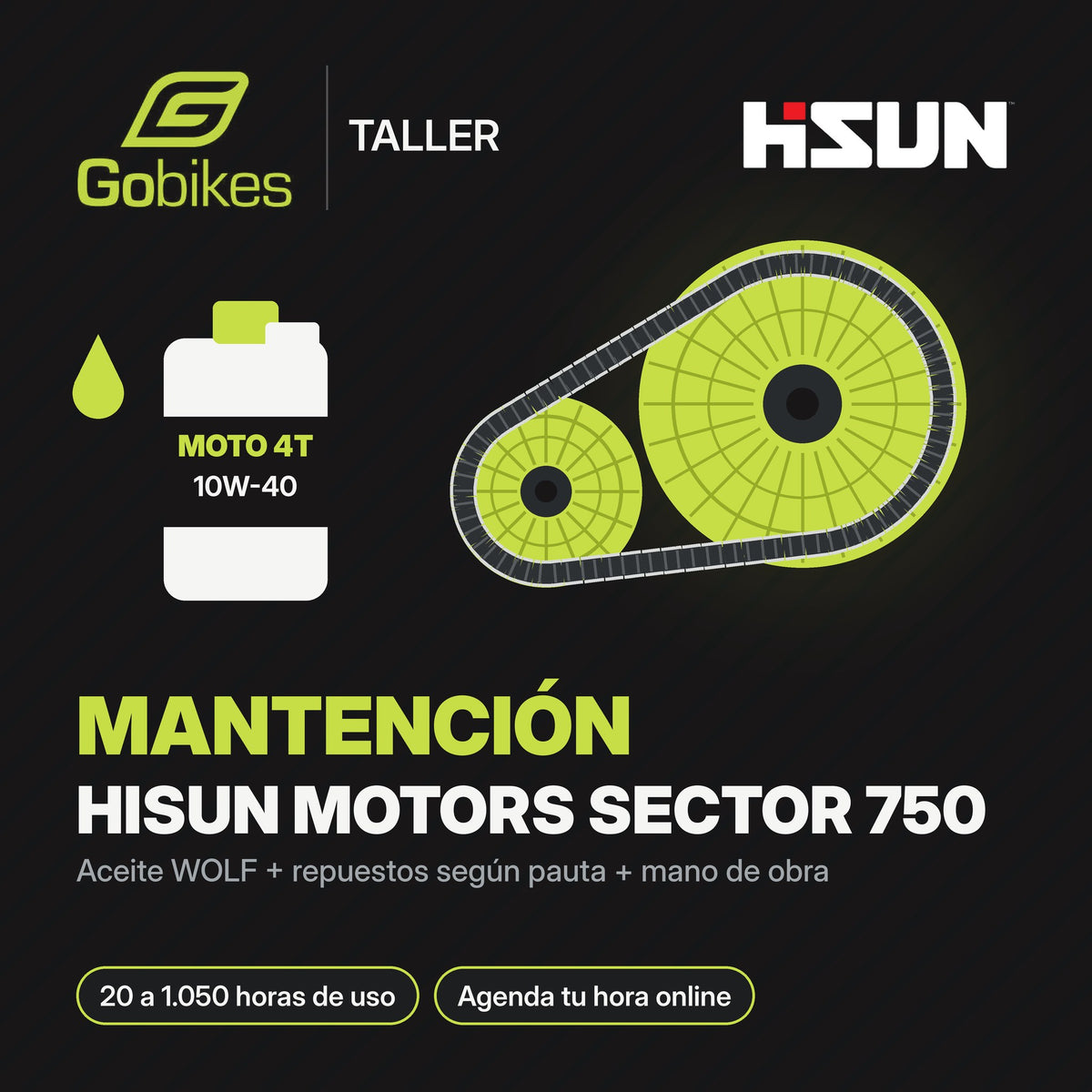 Mantención Hisun Motors Sector 750