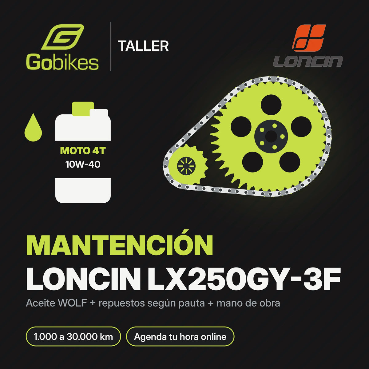 Mantención Loncin LX250GY-3F