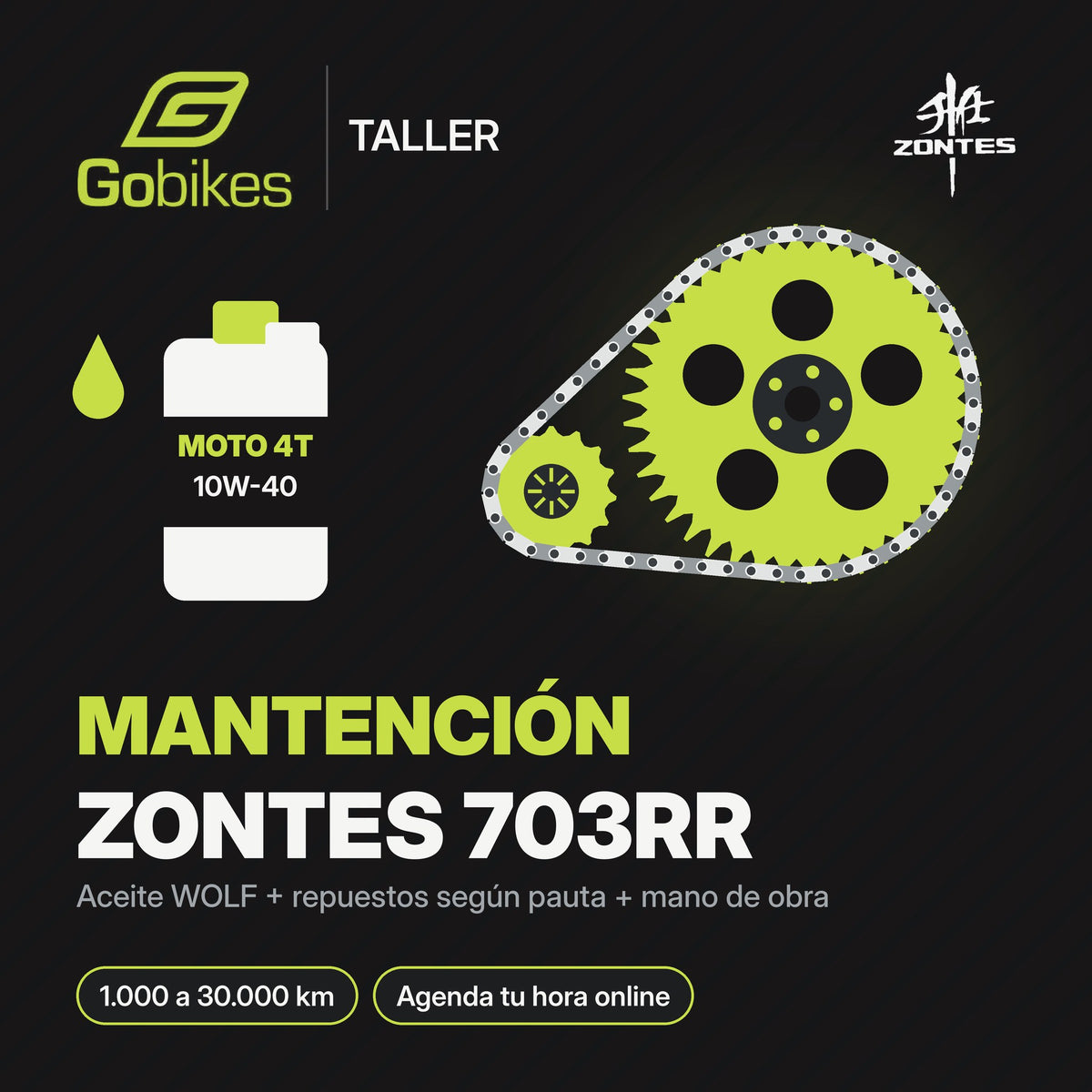 Mantención Zontes 703RR