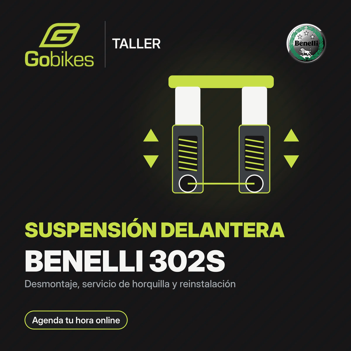 Servicio de suspensión delantera Benelli 302S