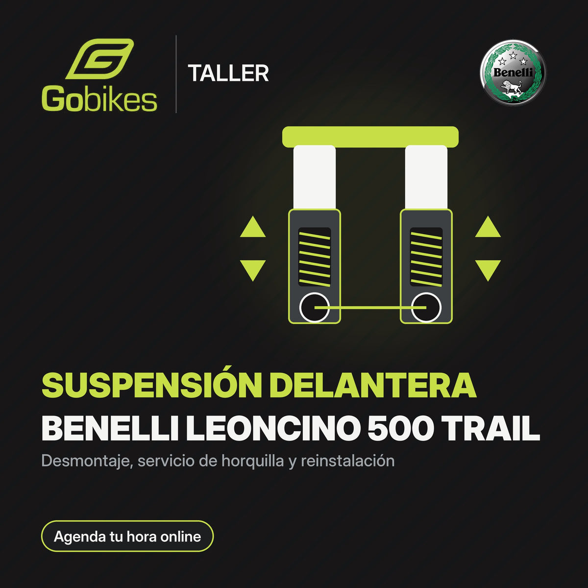 Servicio de suspensión delantera Benelli Leoncino 500 Trail