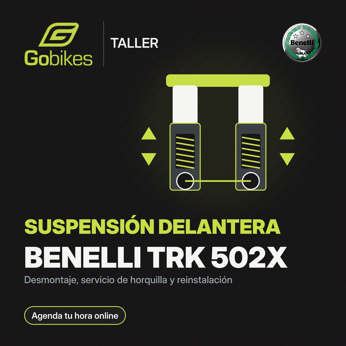 Servicio de suspensión delantera Benelli TRK 502X