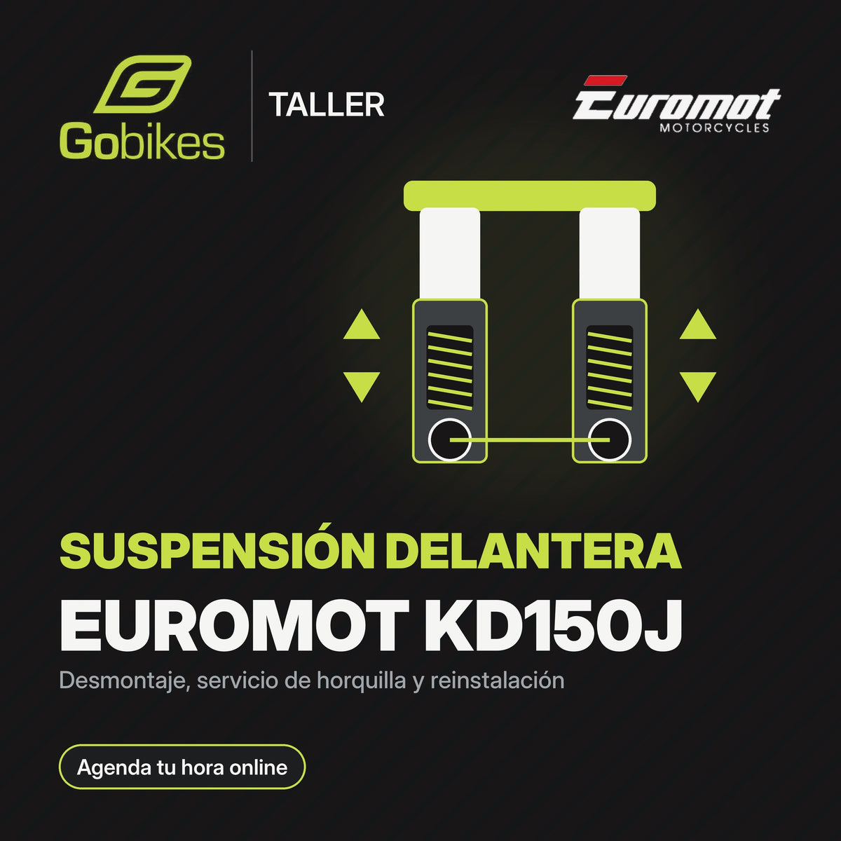 Servicio de suspensión delantera Euromot KD150J