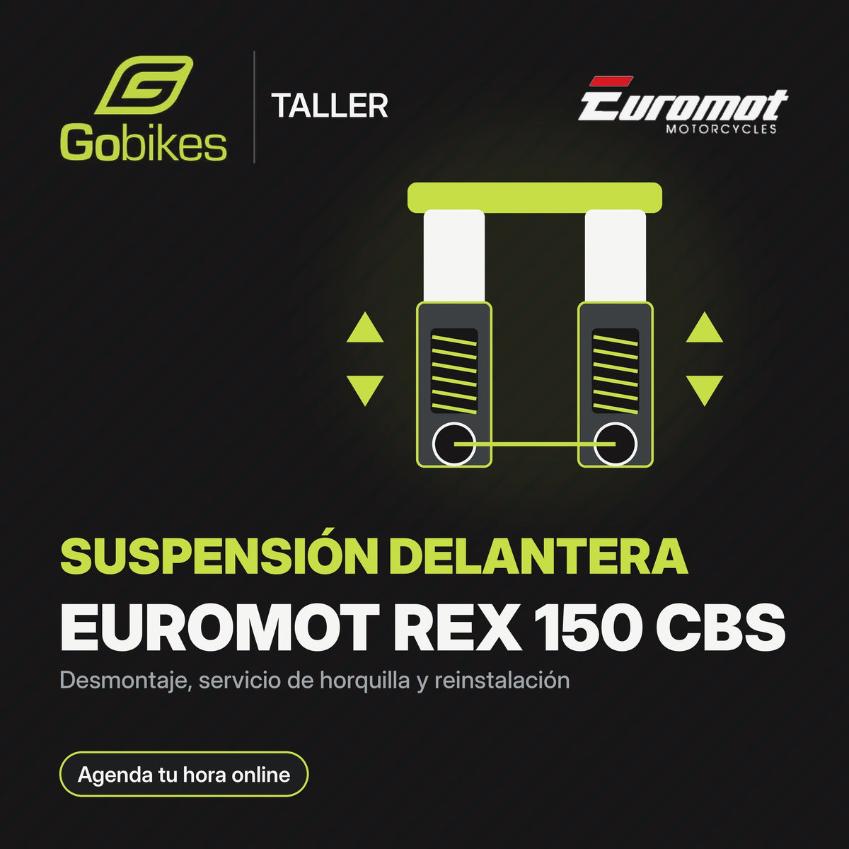 Servicio de suspensión delantera Euromot REX 150 CBS