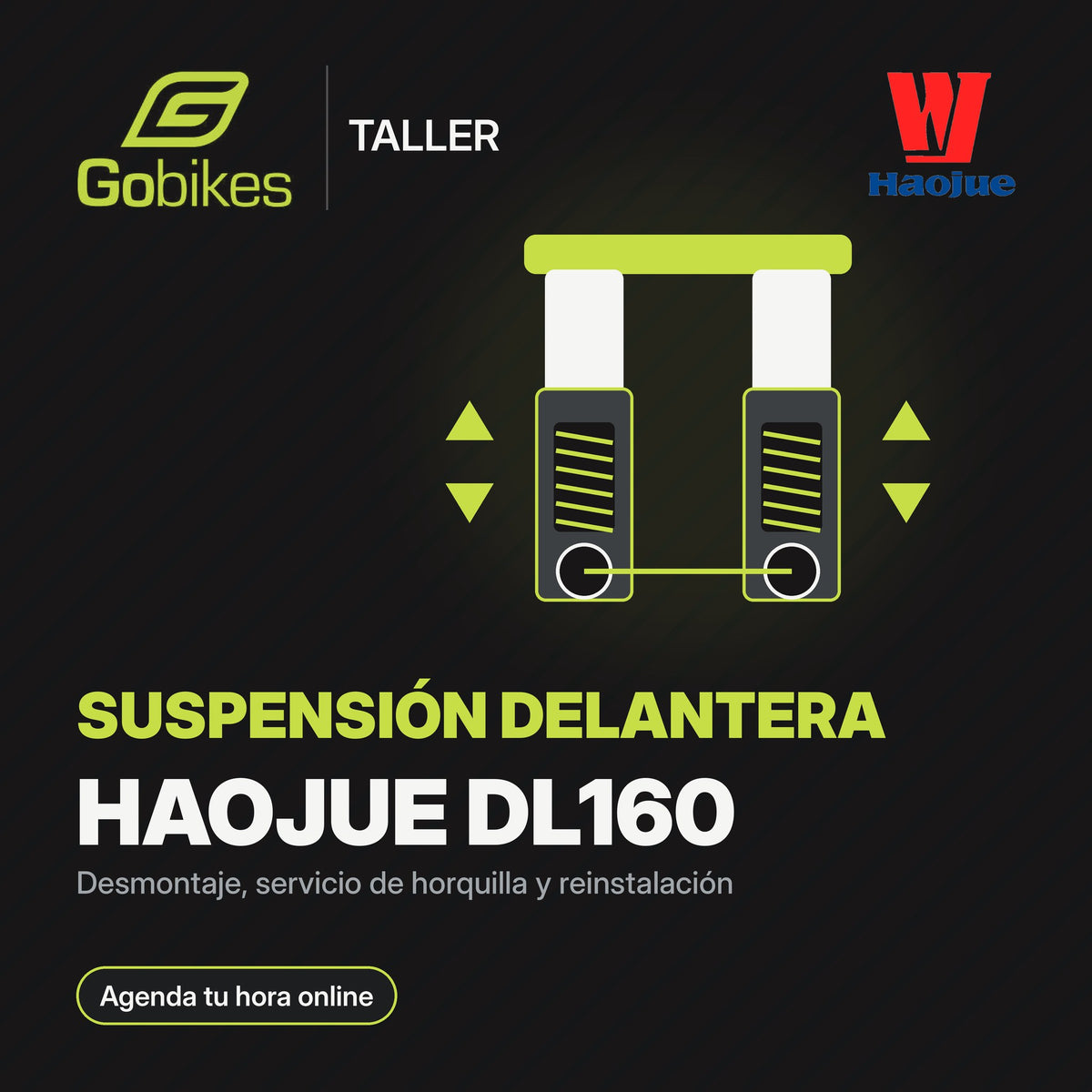 Servicio de suspensión delantera Haojue DL160