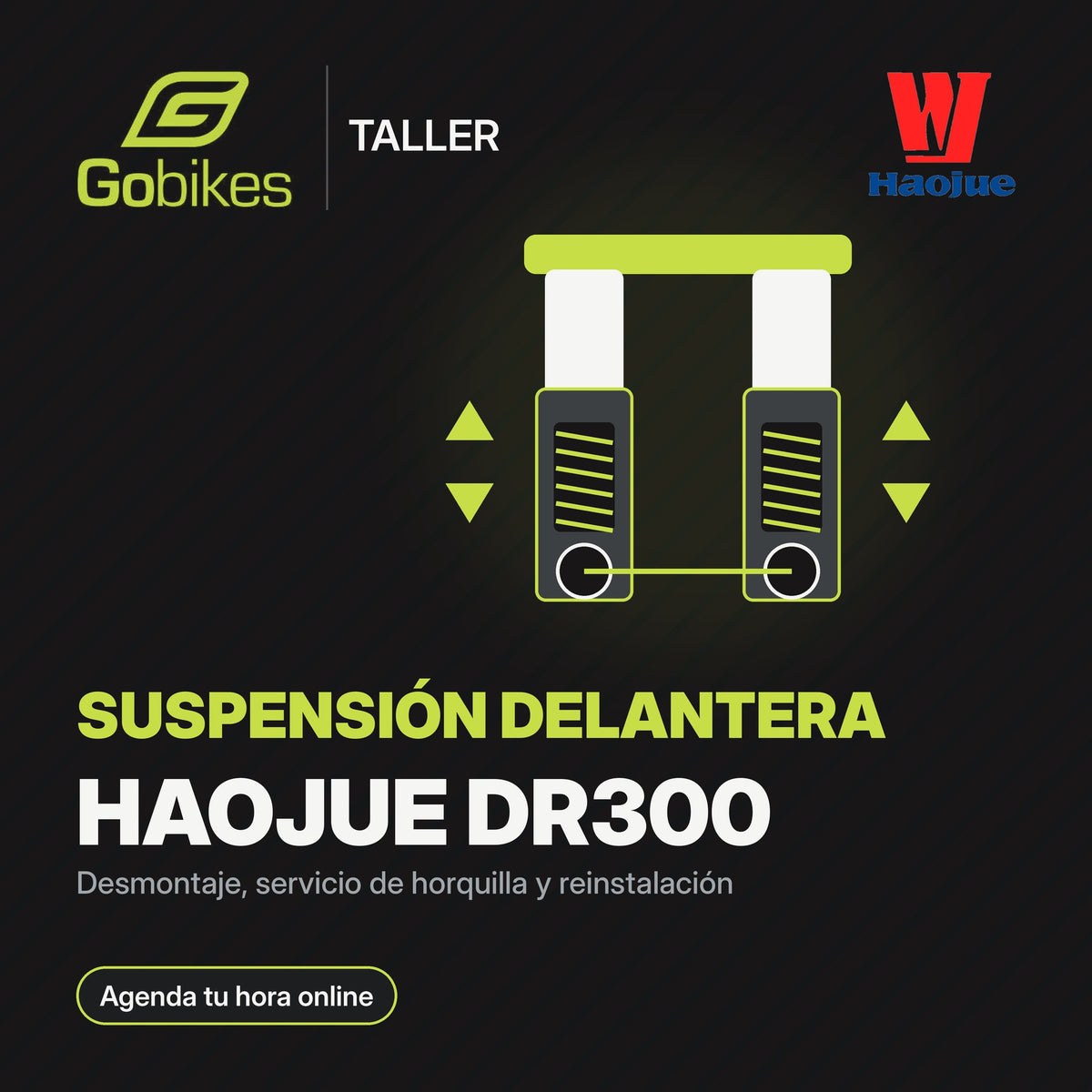 Servicio de suspensión delantera Haojue DR300