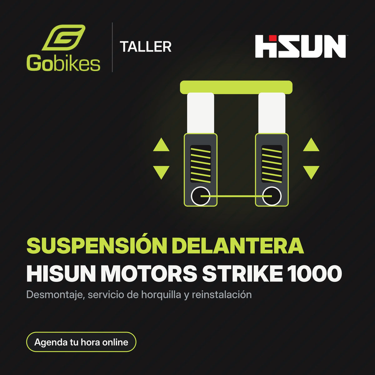 Servicio de suspensión delantera Hisun Motors Strike 1000