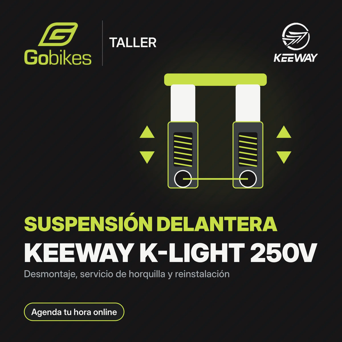 Servicio de suspensión delantera Keeway K-Light 250V
