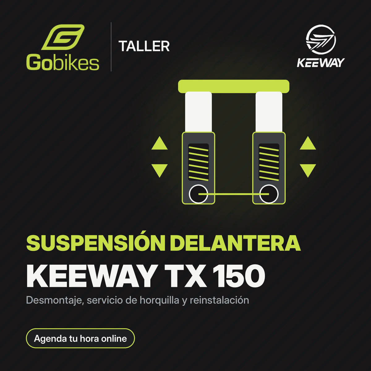 Servicio de suspensión delantera Keeway TX 150