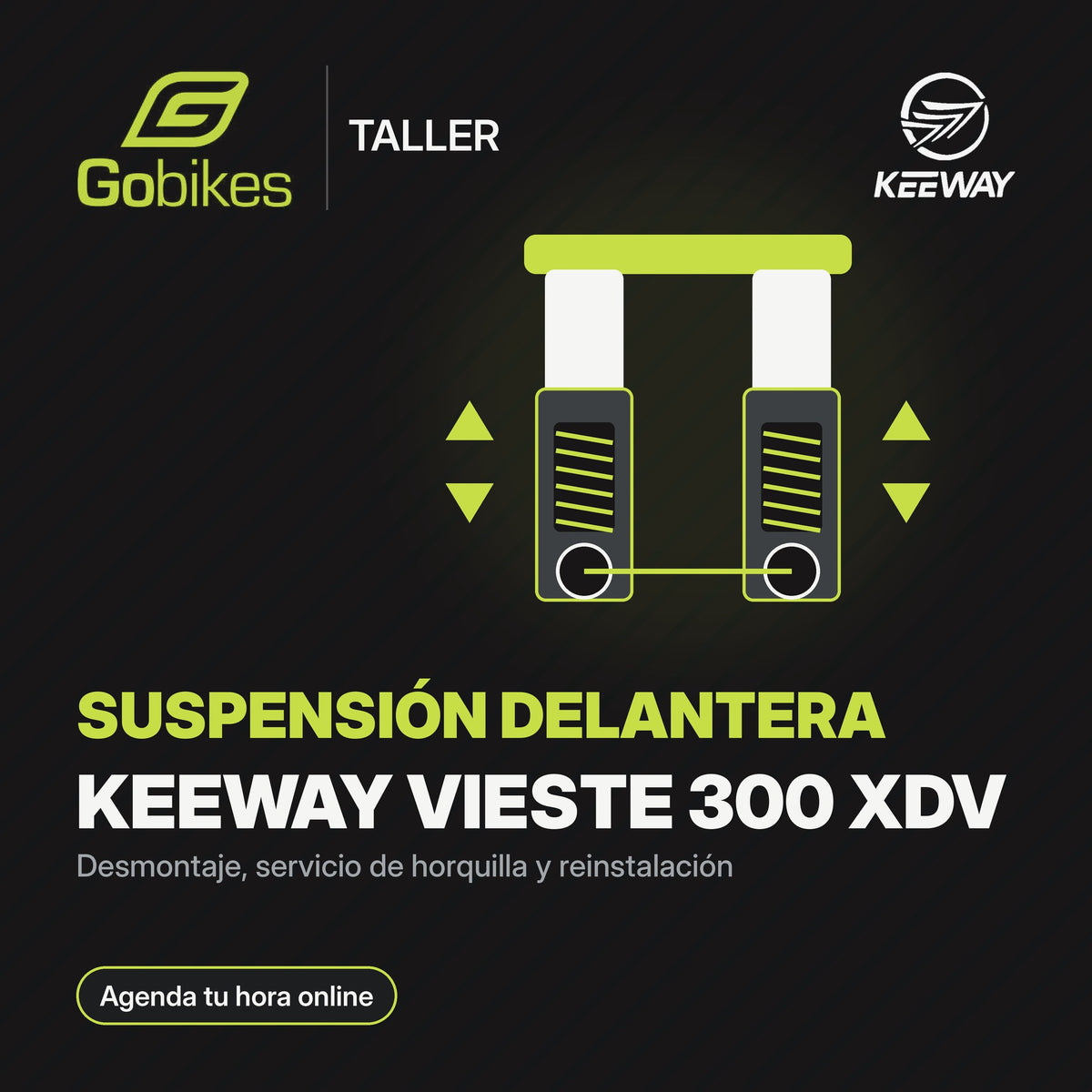 Servicio de suspensión delantera Keeway Vieste 300 XDV