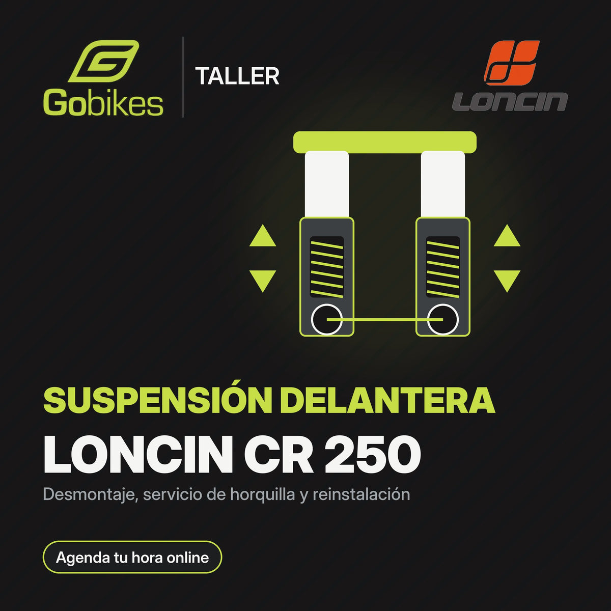 Servicio de suspensión delantera Loncin CR 250