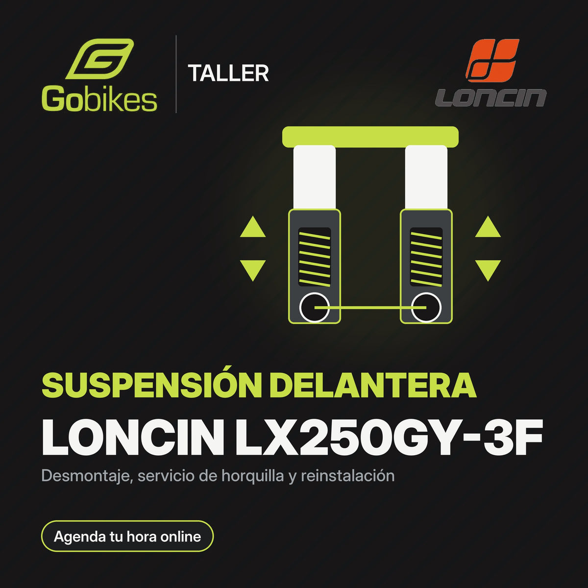 Servicio de suspensión delantera Loncin LX250GY-3F