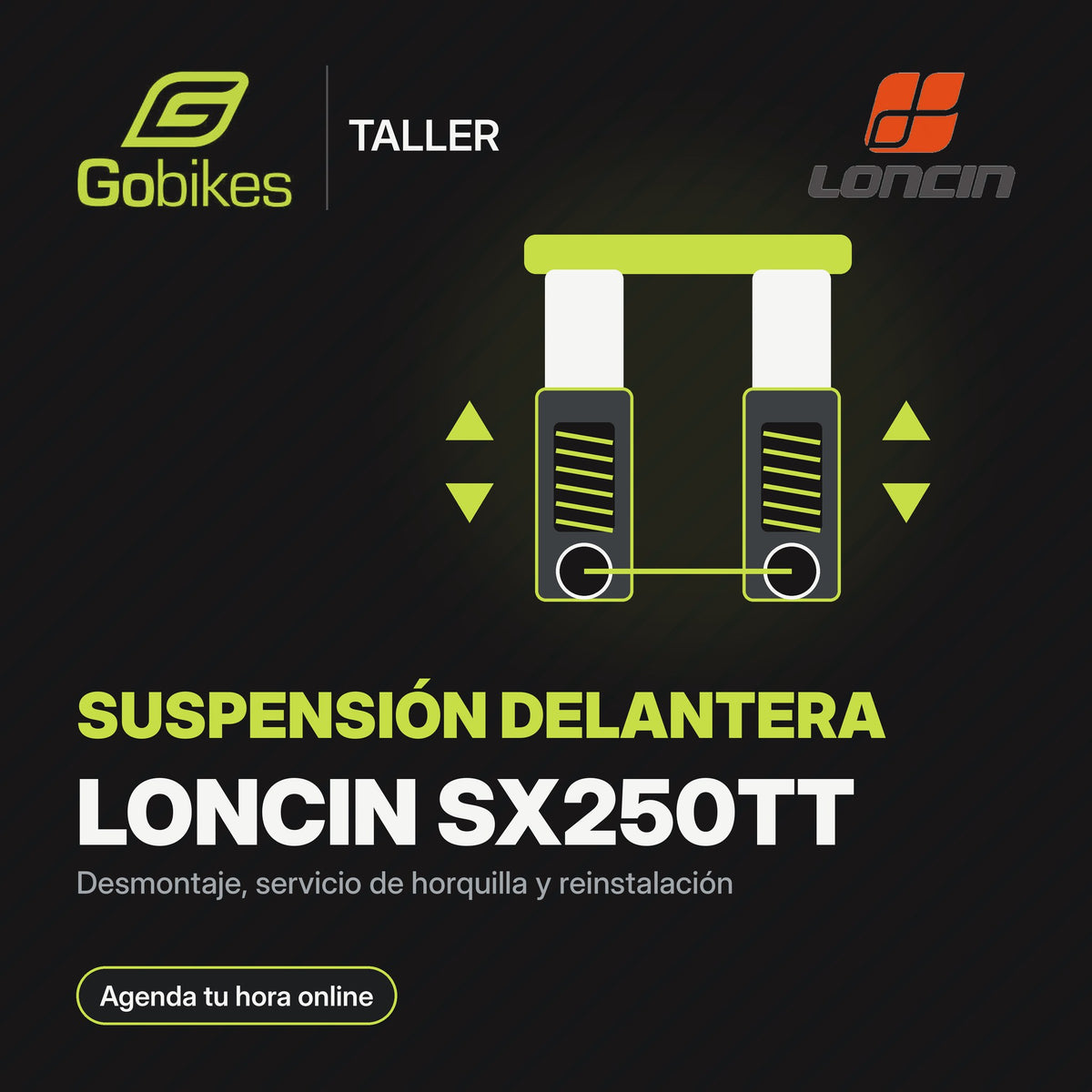 Servicio de suspensión delantera Loncin SX250TT