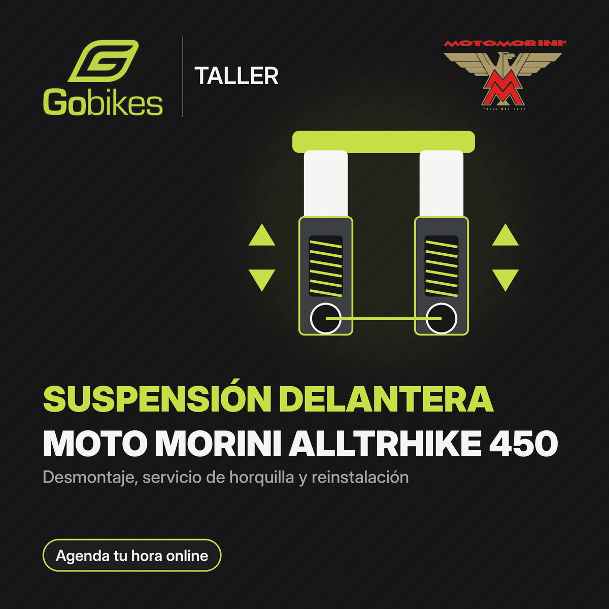 Servicio de suspensión delantera Moto Morini Alltrhike 450