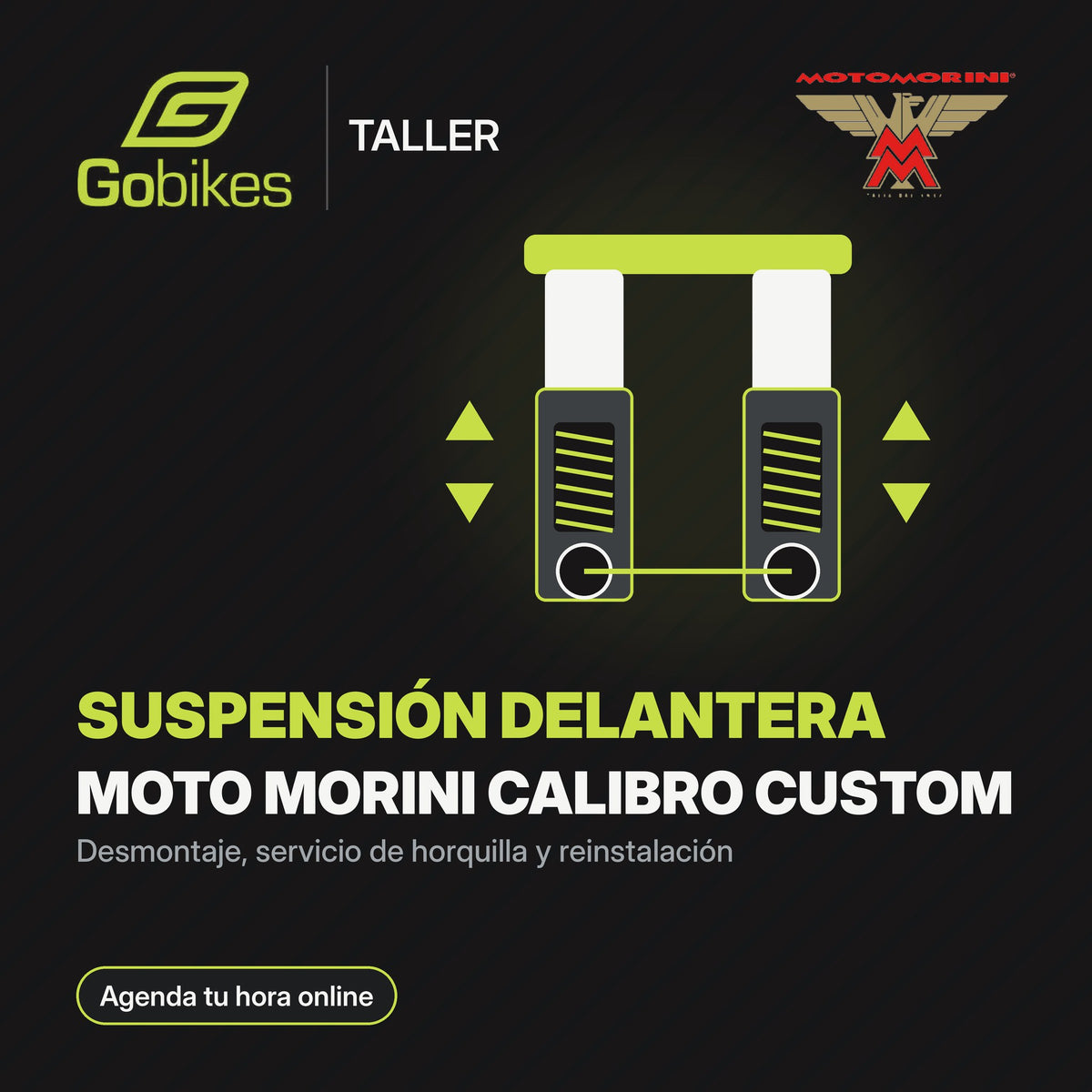 Servicio de suspensión delantera Moto Morini Calibro Custom