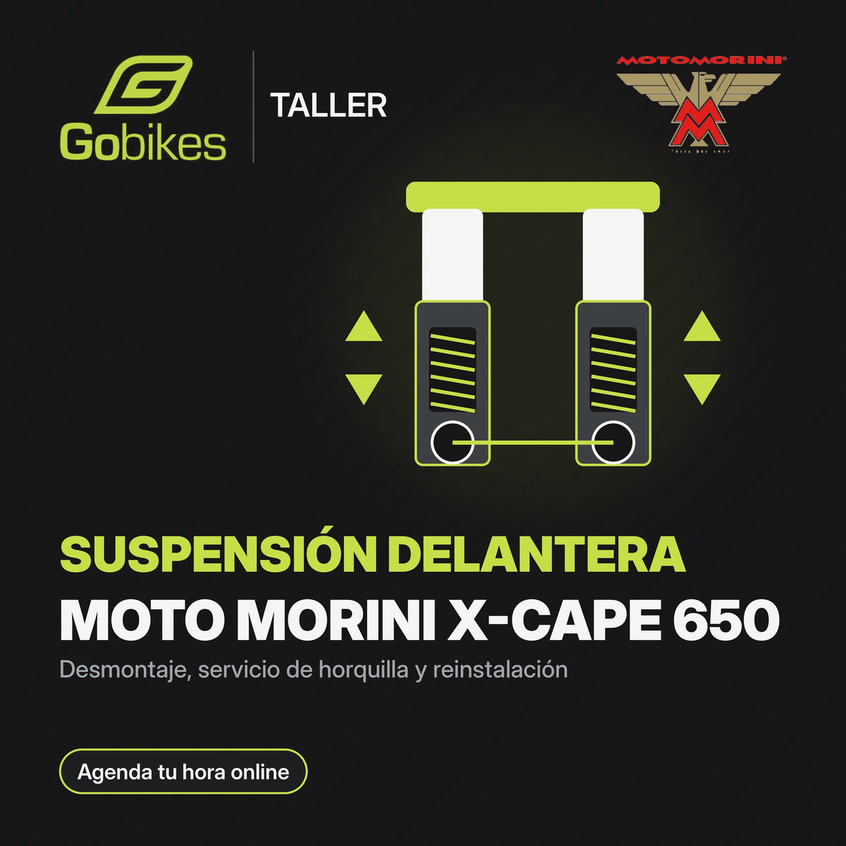 Servicio de suspensión delantera Moto Morini X-Cape 650