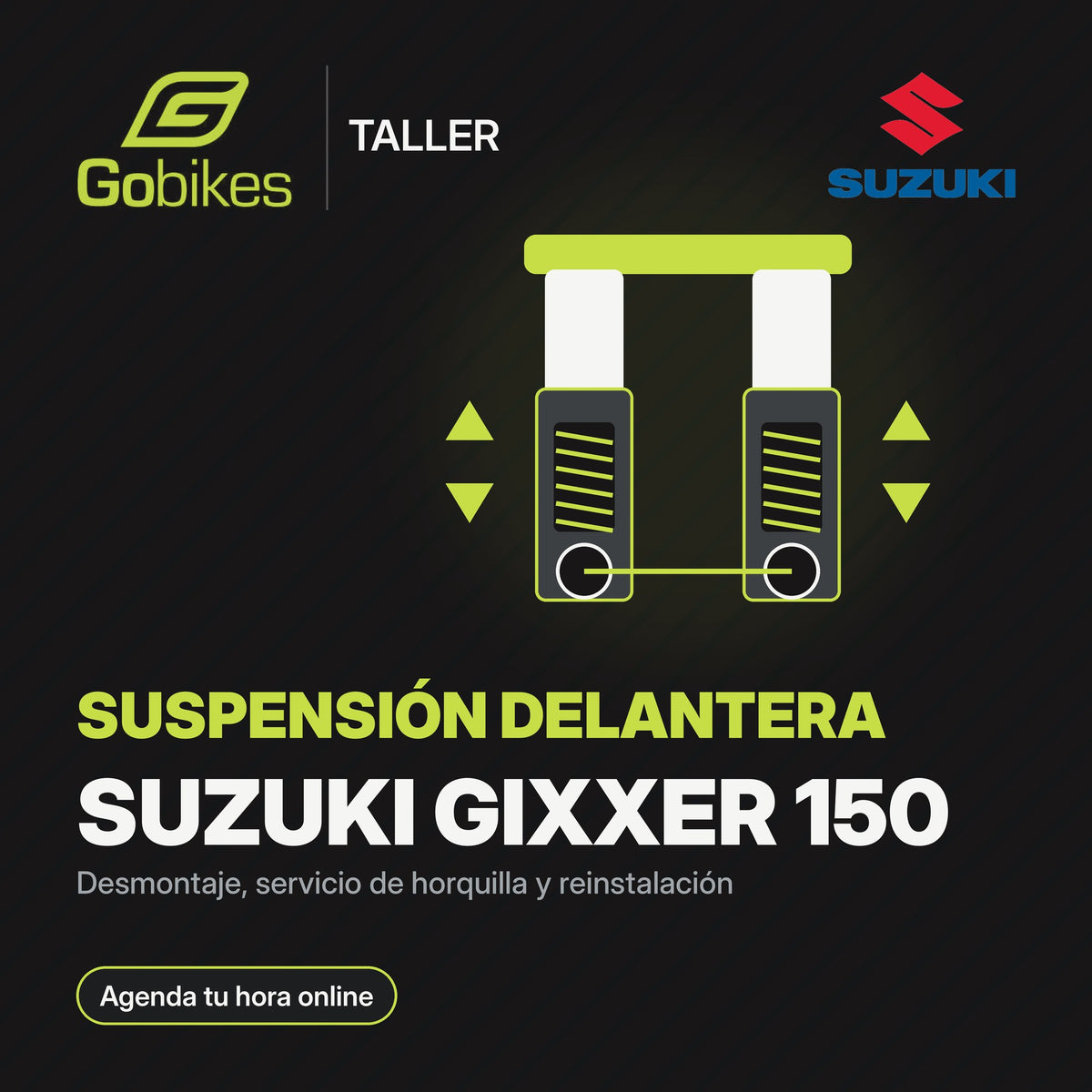 Servicio de suspensión delantera Suzuki Gixxer 150