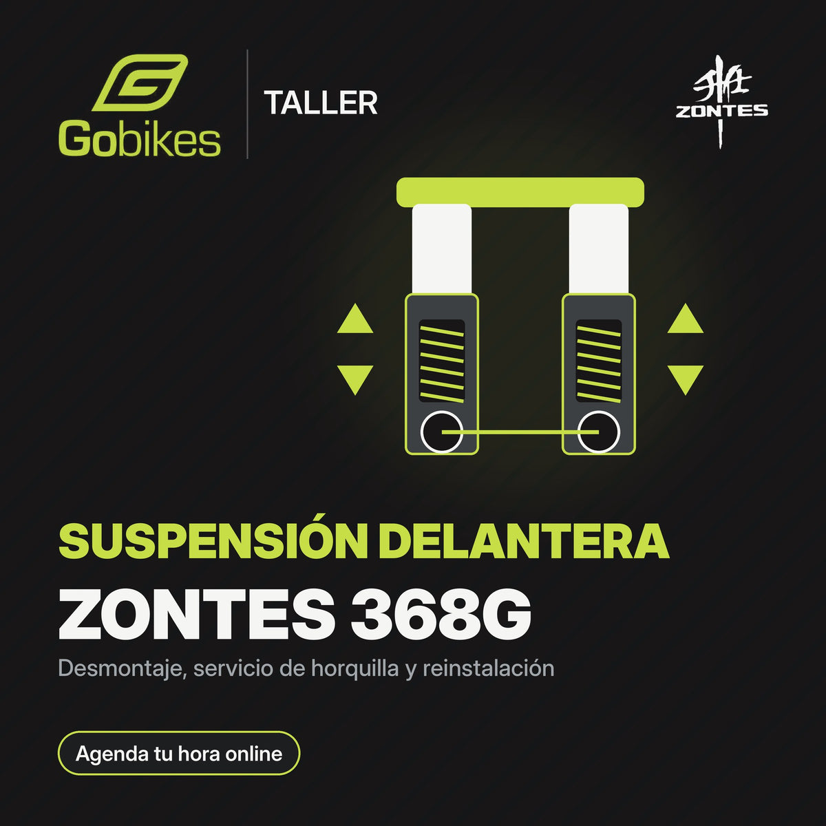 Servicio de suspensión delantera Zontes 368G