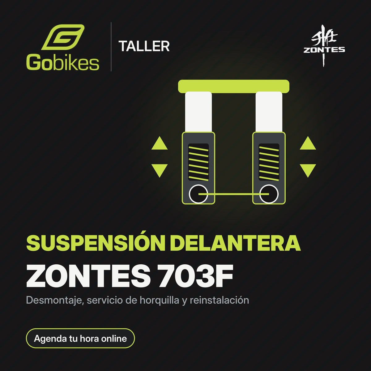 Servicio de suspensión delantera Zontes 703F