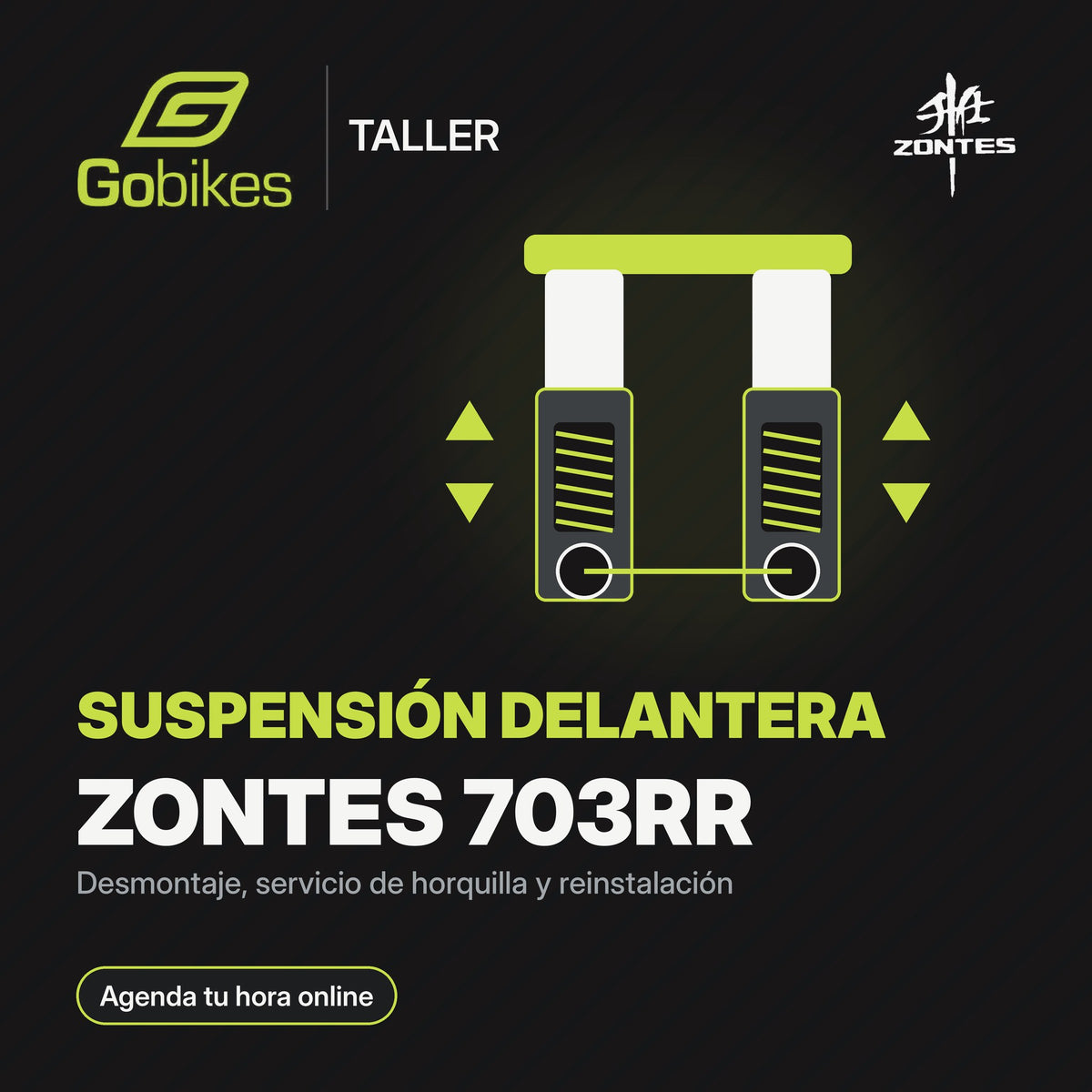 Servicio de suspensión delantera Zontes 703RR
