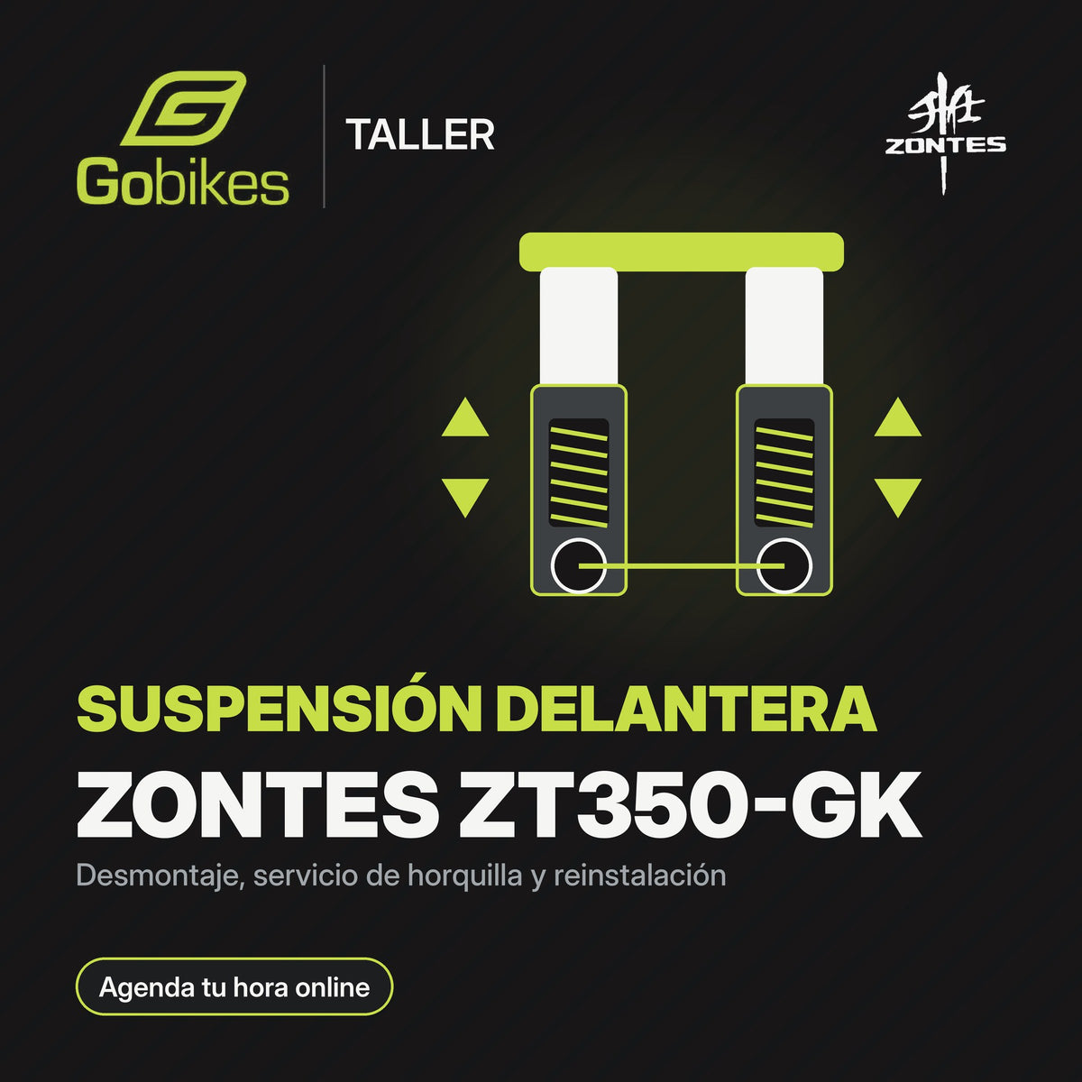 Servicio de suspensión delantera Zontes ZT350-GK