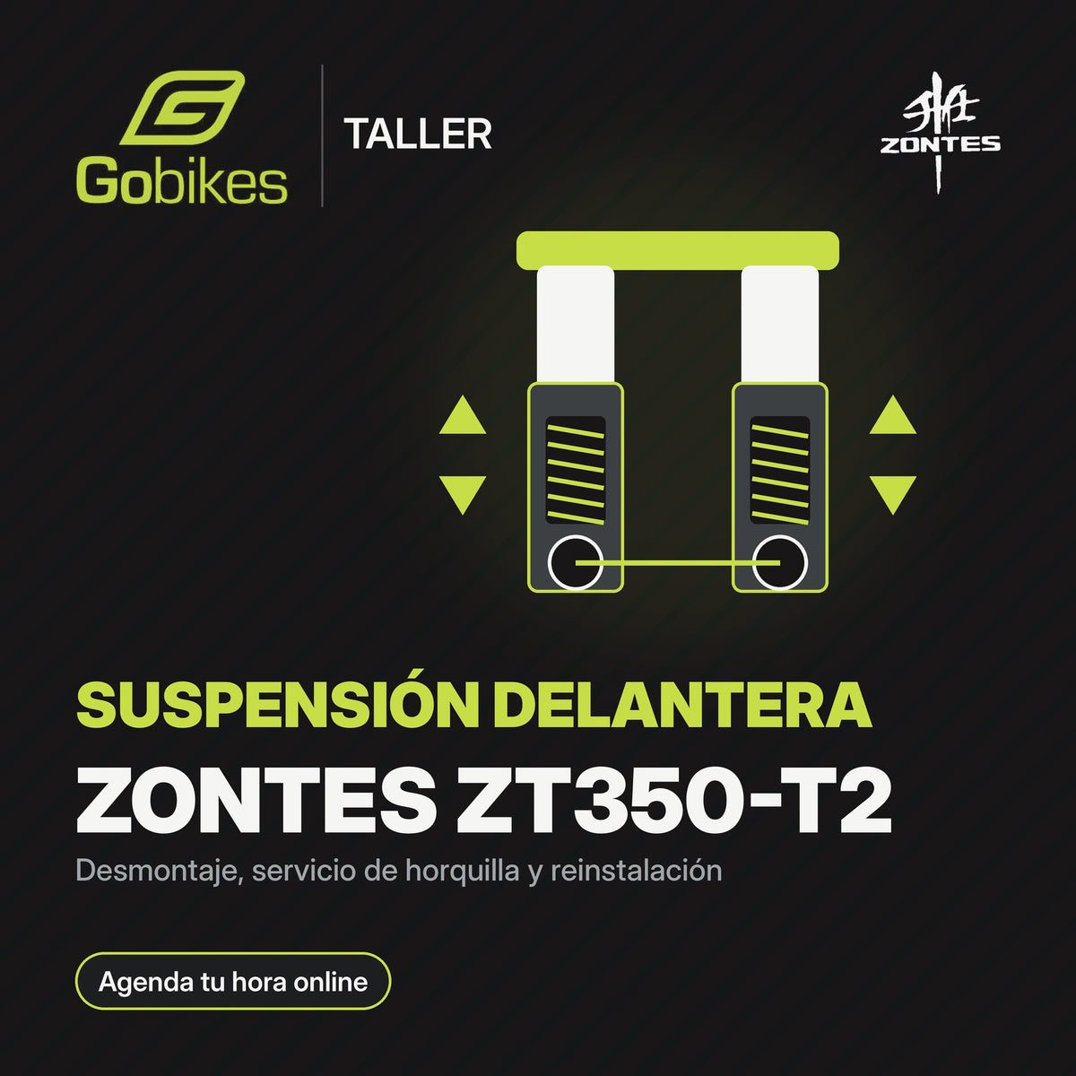 Servicio de suspensión delantera Zontes ZT350-T2