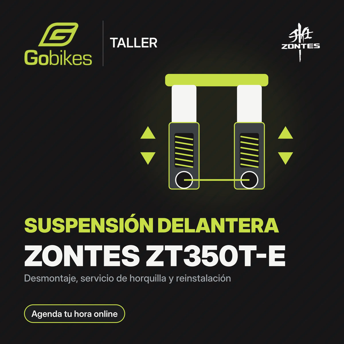 Servicio de suspensión delantera Zontes ZT350T-E